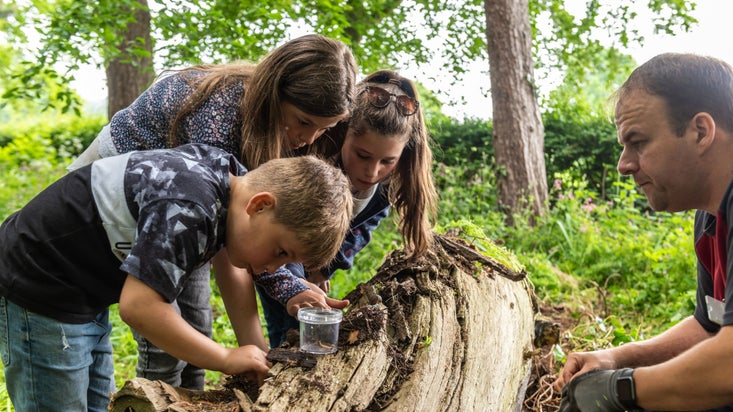 Two children and one adult with a ranger hunting for bugs on Wildlife Explorer Day at Ormesby Hall, North Yorkshire